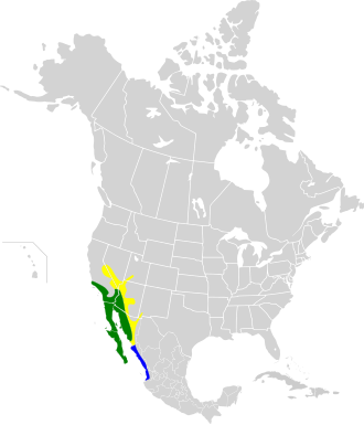 Range Map for Costa's Hummingbird