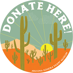 Donate to support the efforts to control Buffelgrass