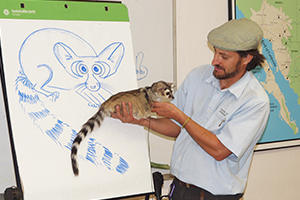 Educator with Ringtail