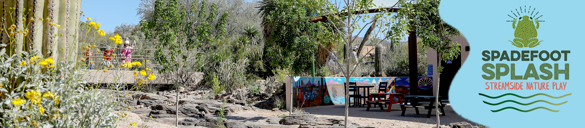 Spadefoot Page header image