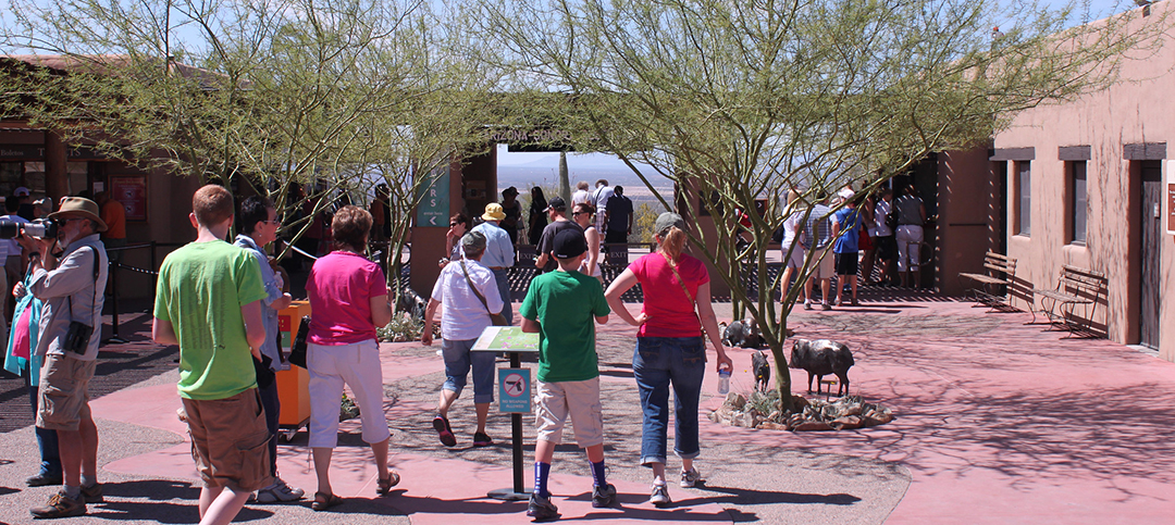 Group of people entering the museum