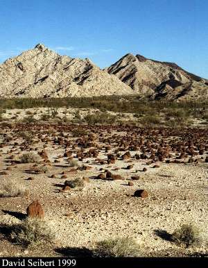 Galleries of Lower Colorado Valley images