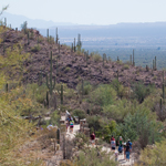 Hikers on the trail