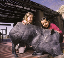 Two young girls playing with the bronze javalinas on the front patio 