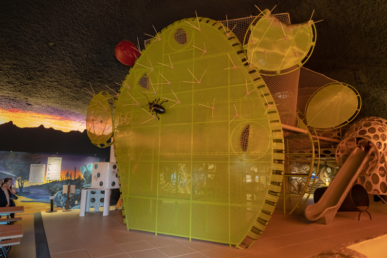 Interior of Packrat Playhouse showing giant prickly pear climbing structure