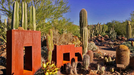 Rusted Iron Planters